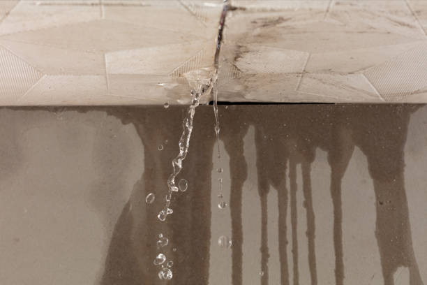 Professional Water Damage Repair technician working in Purvis, MS